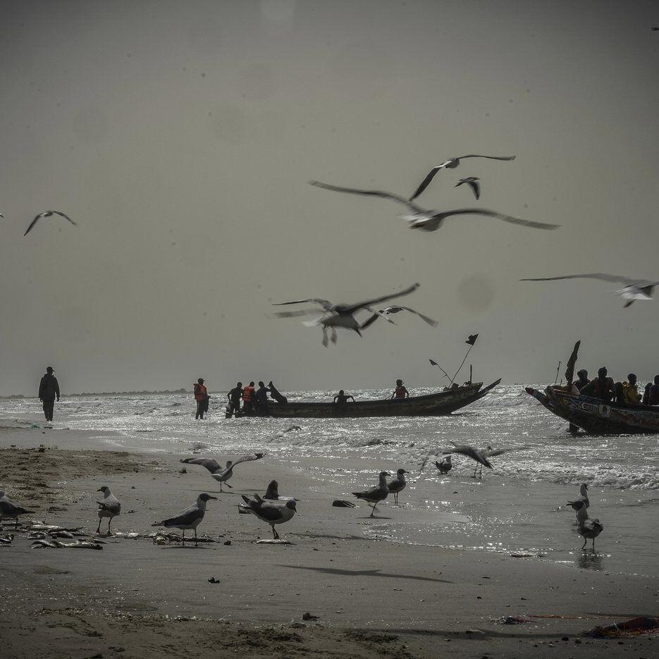 Photos from the Gambian coast, where a 'sea war' is brewing